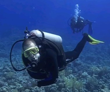 Jackson reef