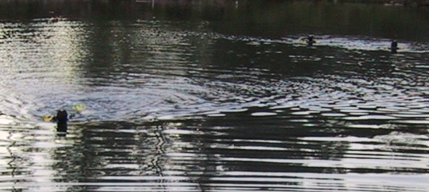 Bild 82